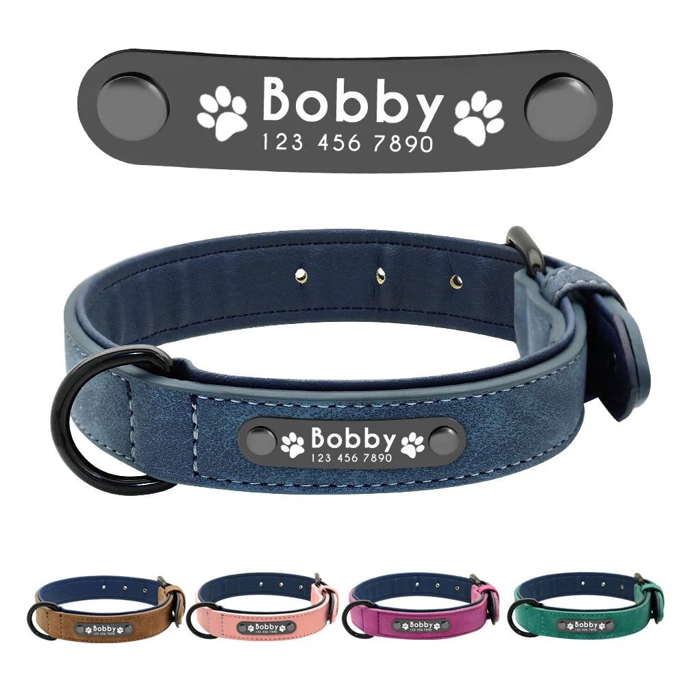 Personalized Padded Leather Dog Collars | Name ID Tags | For Small Medium Large Dogs