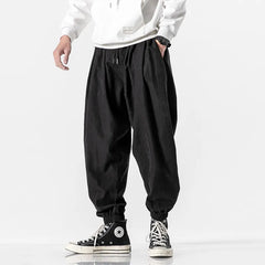 Men's Hip Hop Streetwear Fashion Jogger Harem Pants