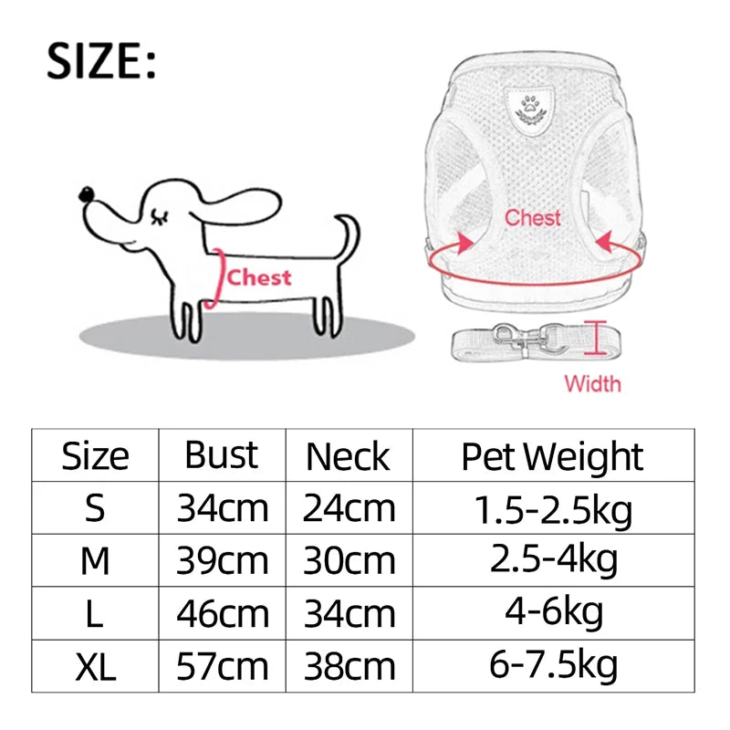 High-Quality Polyester Mesh Cat Harness Vest Set - Breakaway and Quick Release
