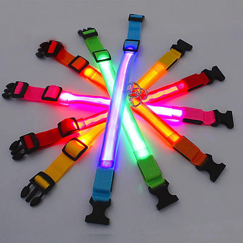 Luminous LED Glowing Dog Collar | USB Rechargeable for Small Medium Large Dogs