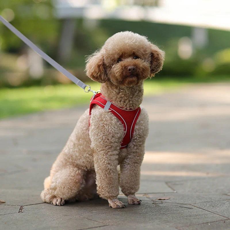 High Quality Adjustable Harness Leash Set for Small Dogs
