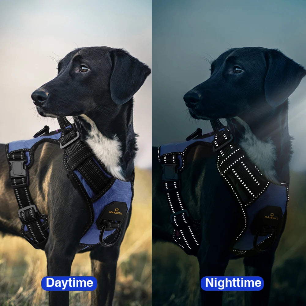 Durable High Quality Pet Reflective Adjustable Harness