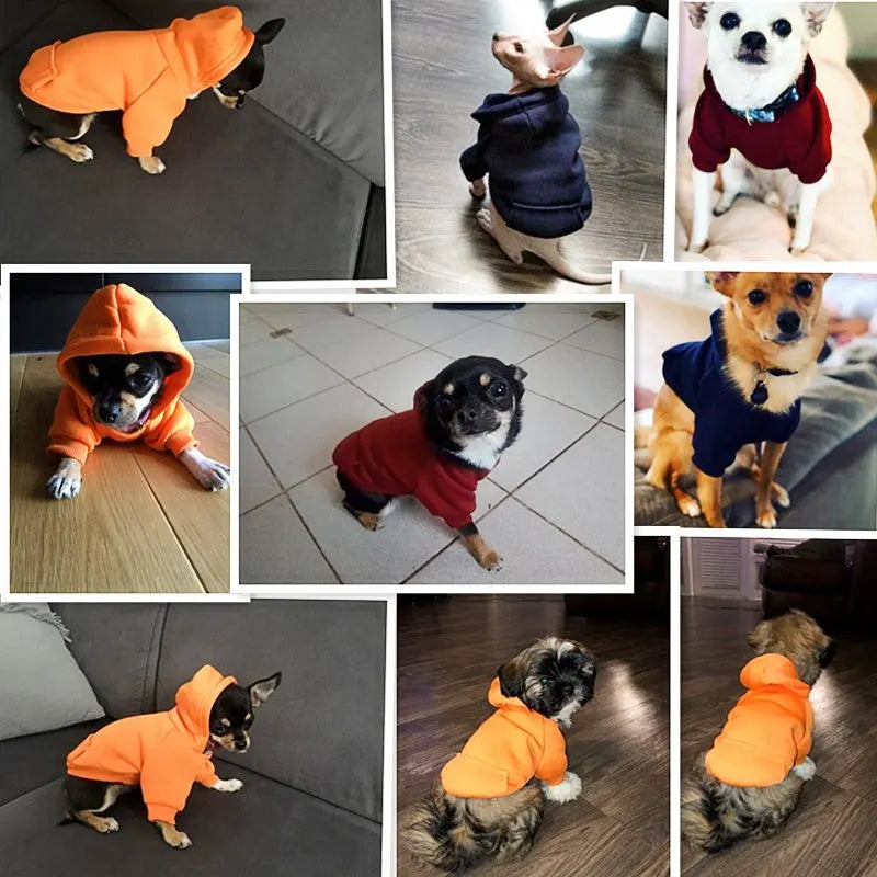Cute Pet Hoodie Jacket: Stylish & Warm Outerwear for Your Beloved Companion