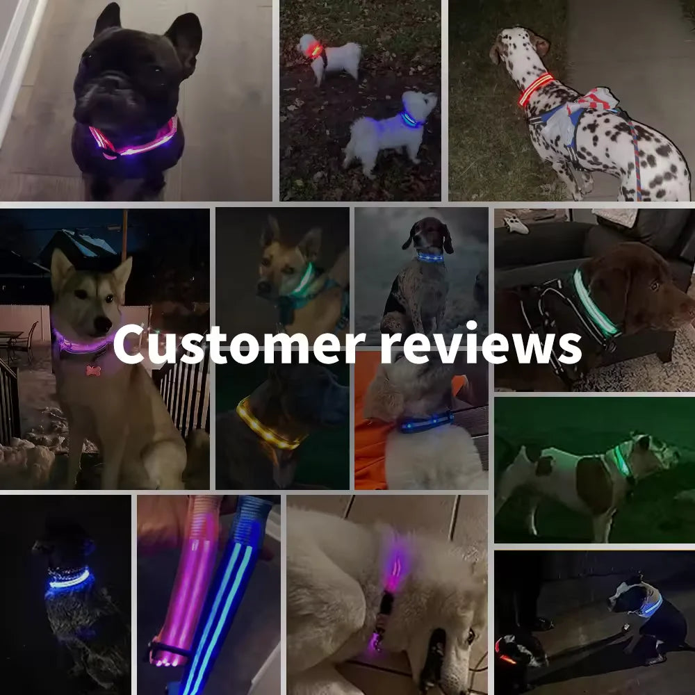 Luminous LED Glowing Dog Collar | USB Rechargeable for Small Medium Large Dogs
