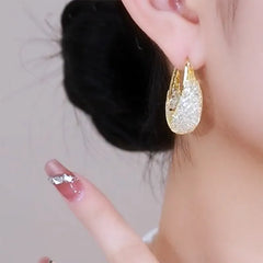 Exquisite Sparkling Mesh Zircon Earrings for Women