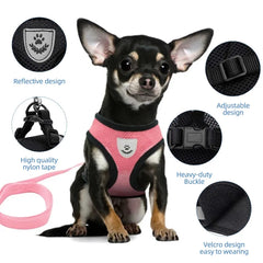 High-Quality Polyester Mesh Cat Harness Vest Set - Breakaway and Quick Release