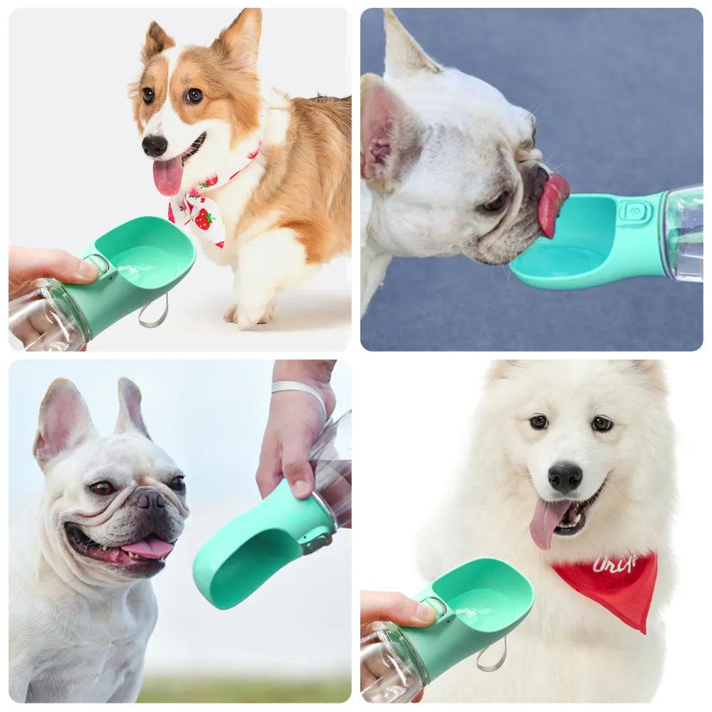 Durable High Quality Leakproof Portable Pet Water Bottle | PC Material for Hot and Cold Water