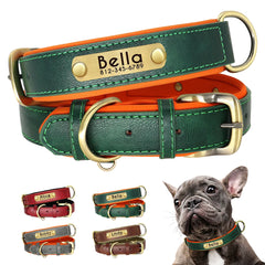 Customized Leather ID Nameplate Dog Collar Soft Padded Dogs Collars