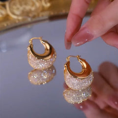 Exquisite Sparkling Mesh Zircon Earrings for Women