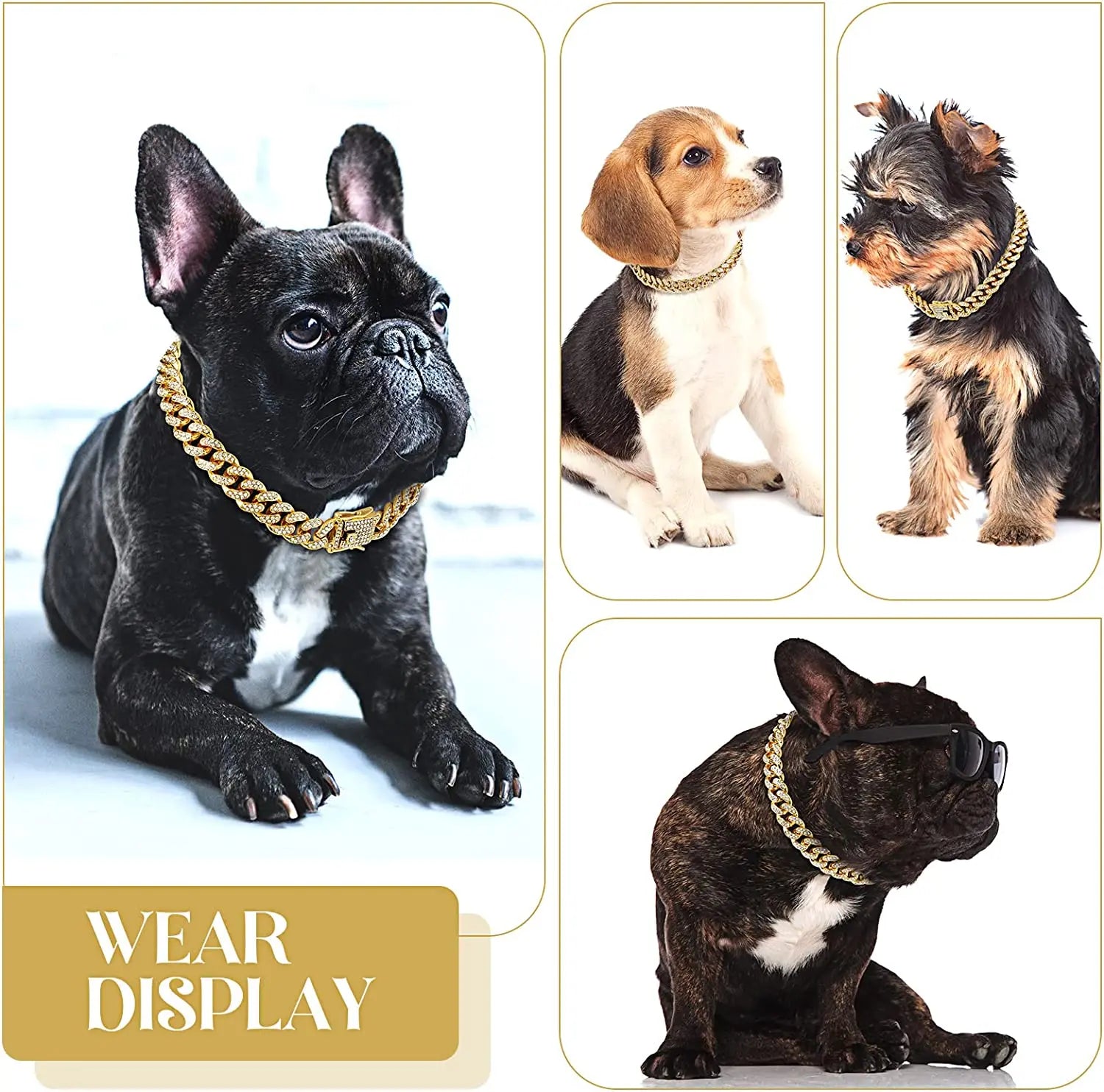 Luxury Personalized Zirconia Pet Chain Collar | Hypoallergenic & Lead/Nickel Free | Pet Jewelry