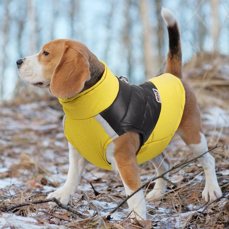 Waterproof Dog Vest: Padded Zipper Jacket for Small to Large Dogs