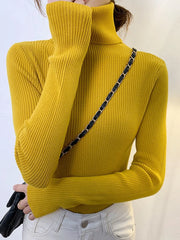 Elegant Women Pullover Slim Fit Turtleneck Sweaters