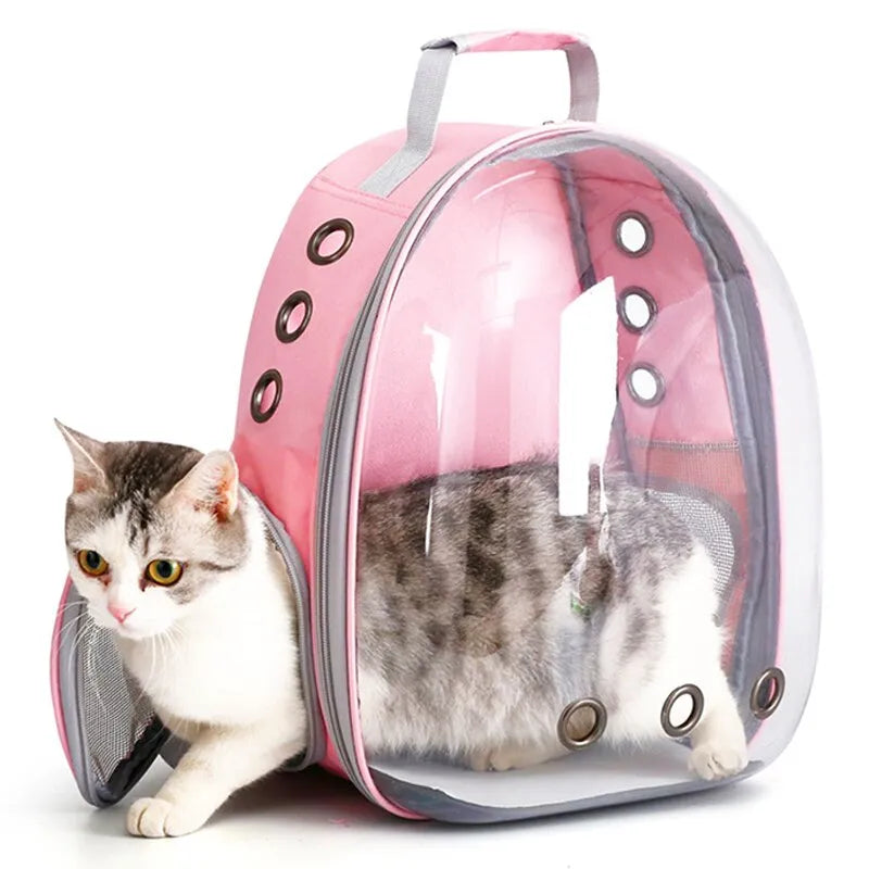 High Quality Pet Carrier Backpack Transparent Capsule Bubble Pet Backpack for Travel